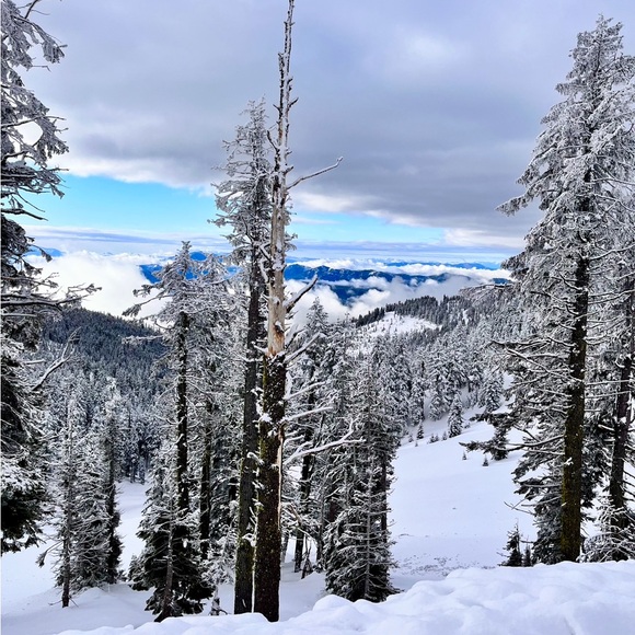 💜Why I Started Selling On PM💜 - Picture 7 of 13